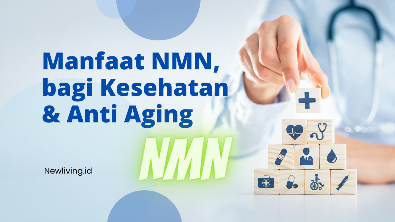 Apa Itu NMN NAD Serta Hubungannya Dengan Kesehatan Anti Aging apa-itu-nmn-nad-serta-hubungannya-dengan-kesehatan-anti-aging